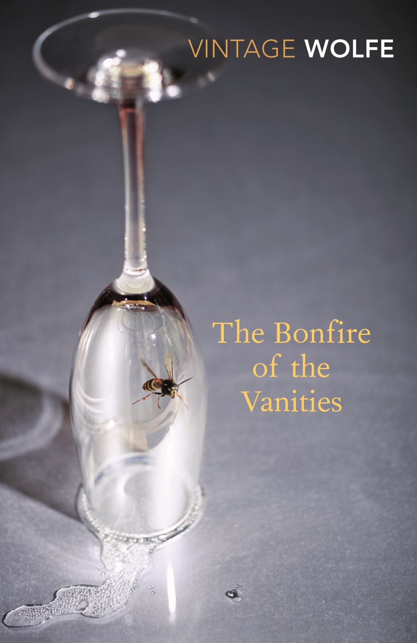 The Bonfire of the Vanities