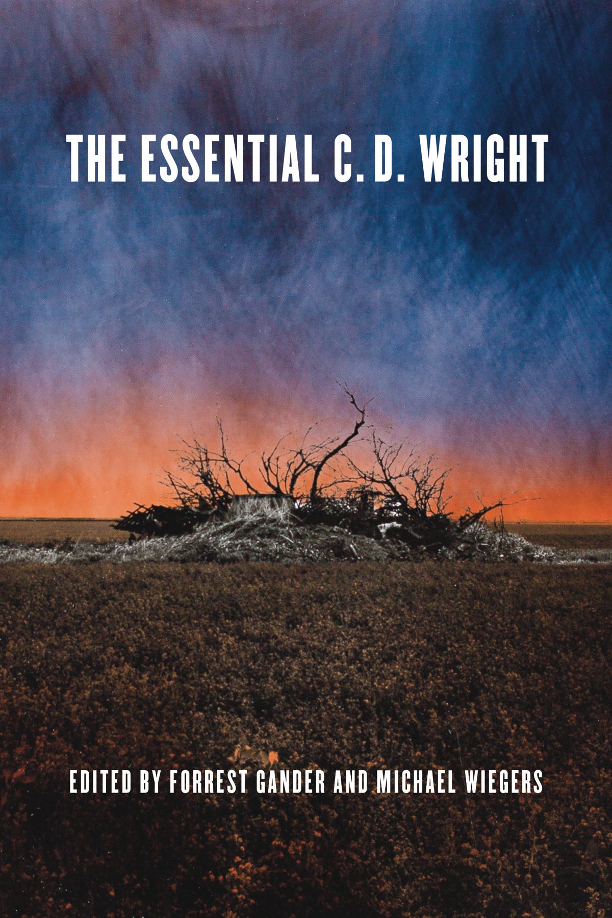 The Essential C.D. Wright