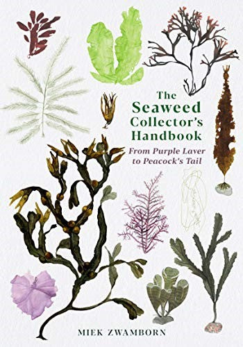 Seaweed Collector's Handbook : From Purple Laver to Peacock's Tail