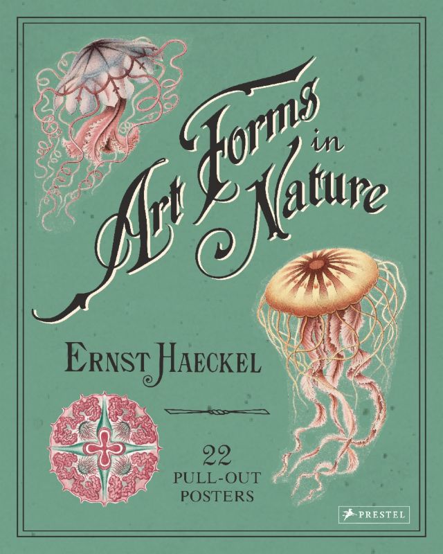 Ernst Haeckel Art Forms In Nature 22 Pull-Out Posters