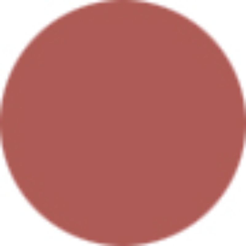 Clinique Chubby Stick - No. 02 Whole Lotta Honey  3g/0.10oz