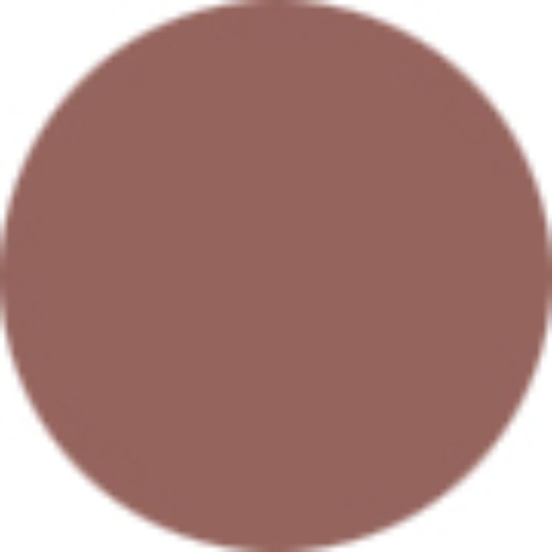 Sisley Phyto Lip Twist - # 1 Nude 2.5g/0.08oz