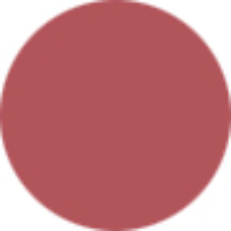 Youngblood Lip Liner Pencil - Rose 1.1g/0.04oz