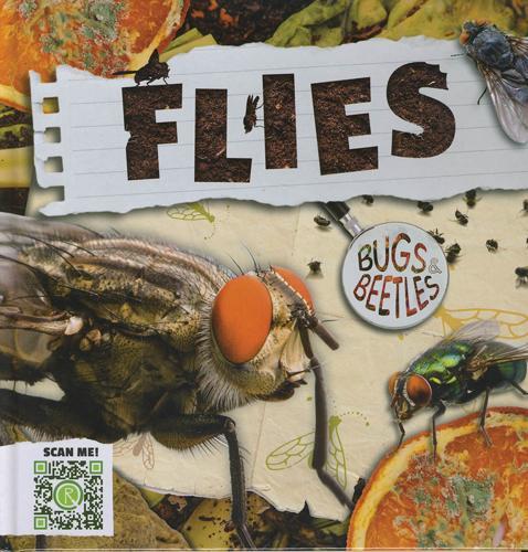 Bugs and Beetles: Flies