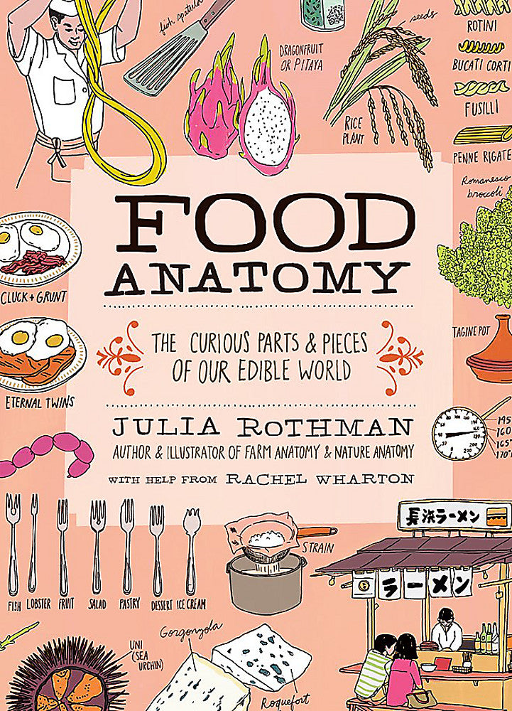 Food Anatomy