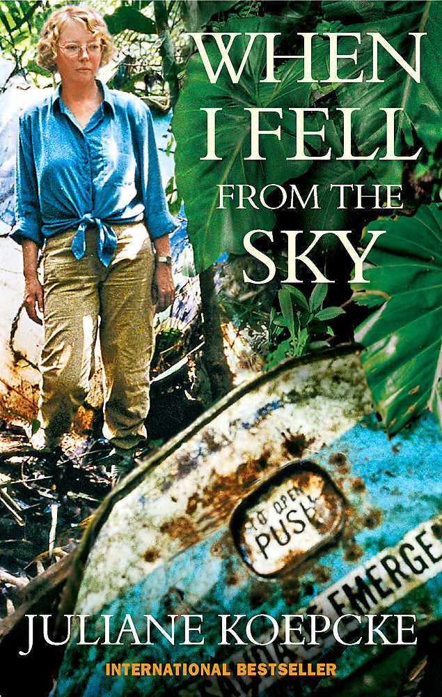 When I Fell From The Sky