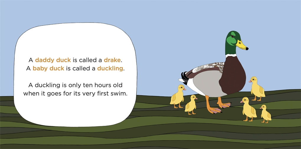 The Daddy Animal Book