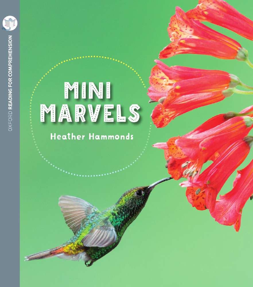 Mini Marvels: Oxford Level 9: Pack of 6