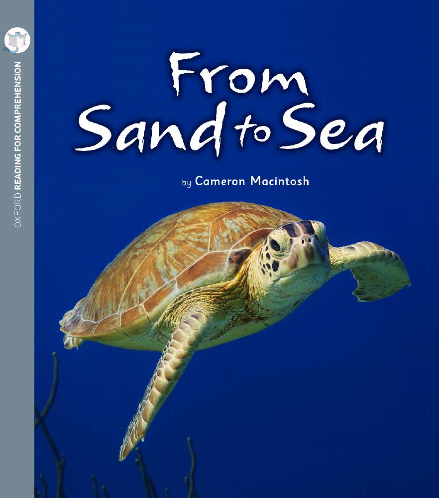 From Sand to Sea: Oxford Level 5: Pack of 6