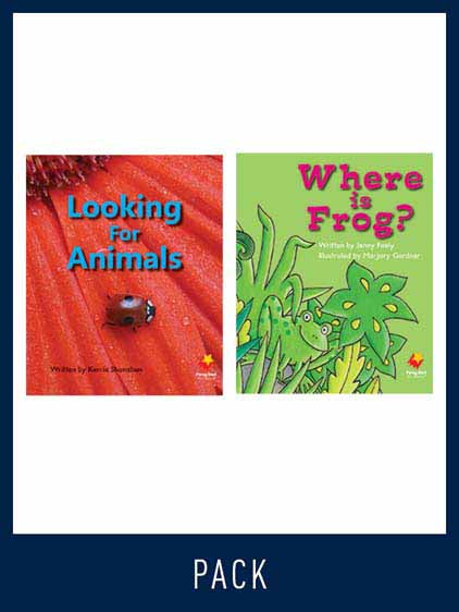Flying Start Guided Reading Pack Level 4, Pack 1