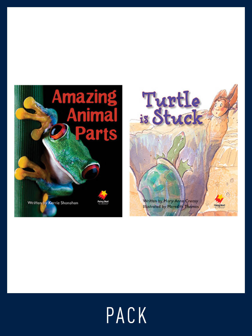 Flying Start Guided Reading Pack Level 4, Pack 2