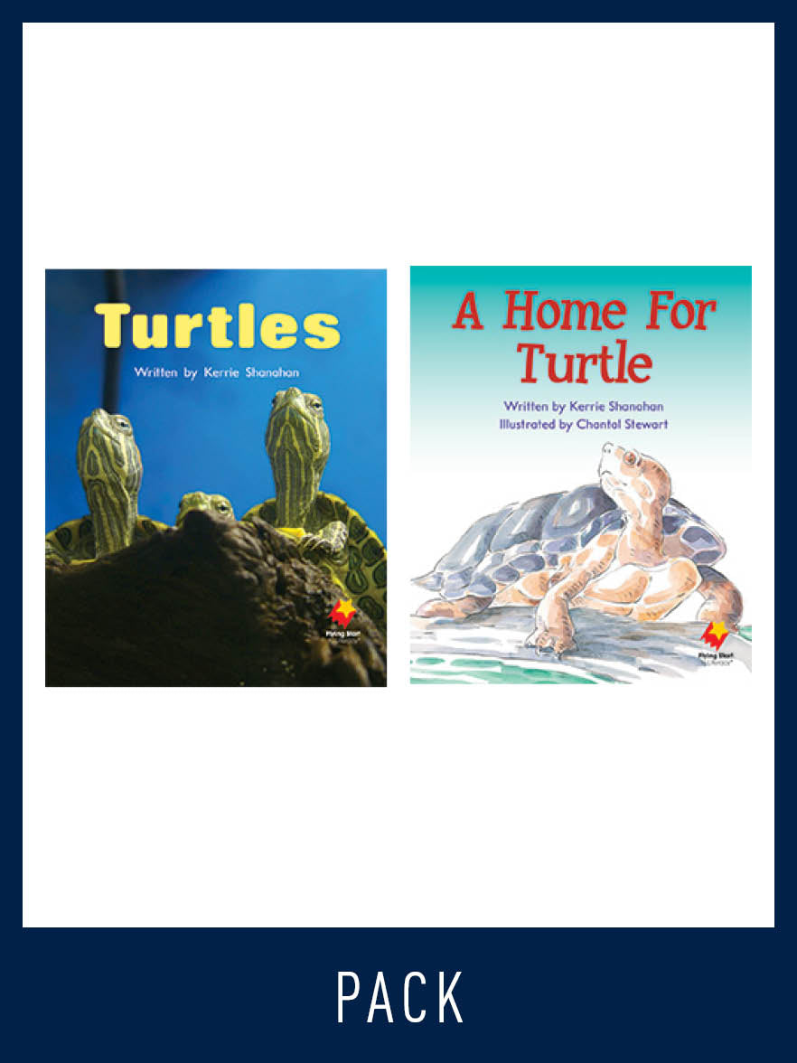 Flying Start Guided Reading Pack Level 6, Pack 1