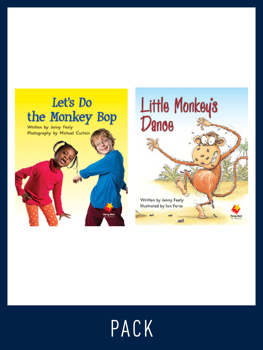 Flying Start Guided Reading Pack Level 6, Pack 2