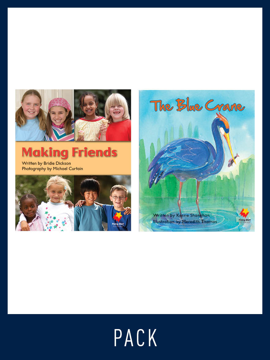 Flying Start Guided Reading Pack Level 12, Pack 5