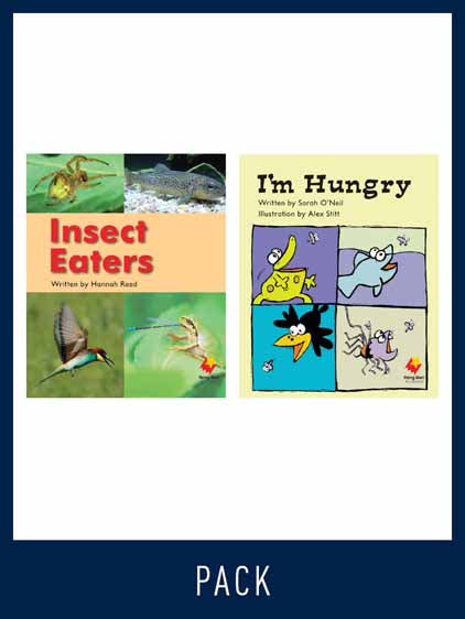 Flying Start Guided Reading Pack Level 13, Pack 3