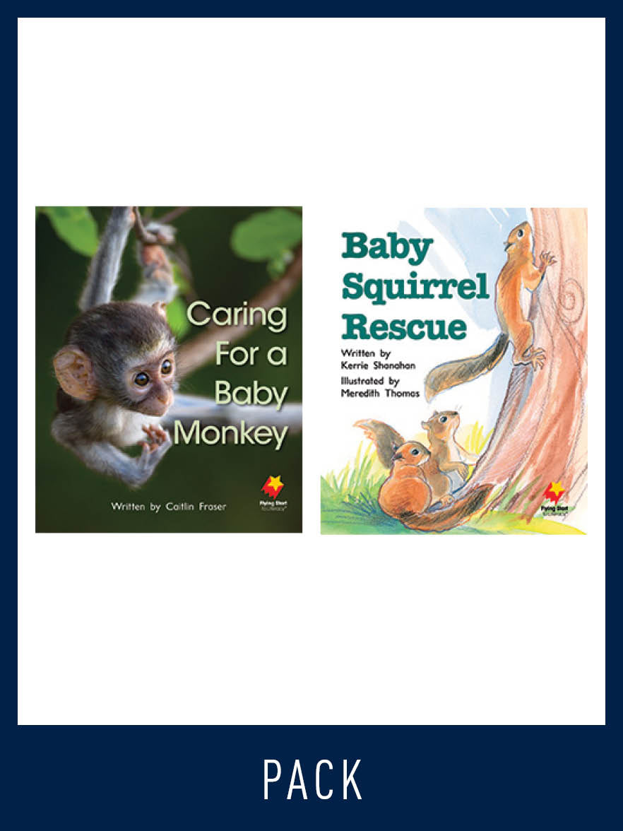 Flying Start Guided Reading Pack Level 13, Pack 2