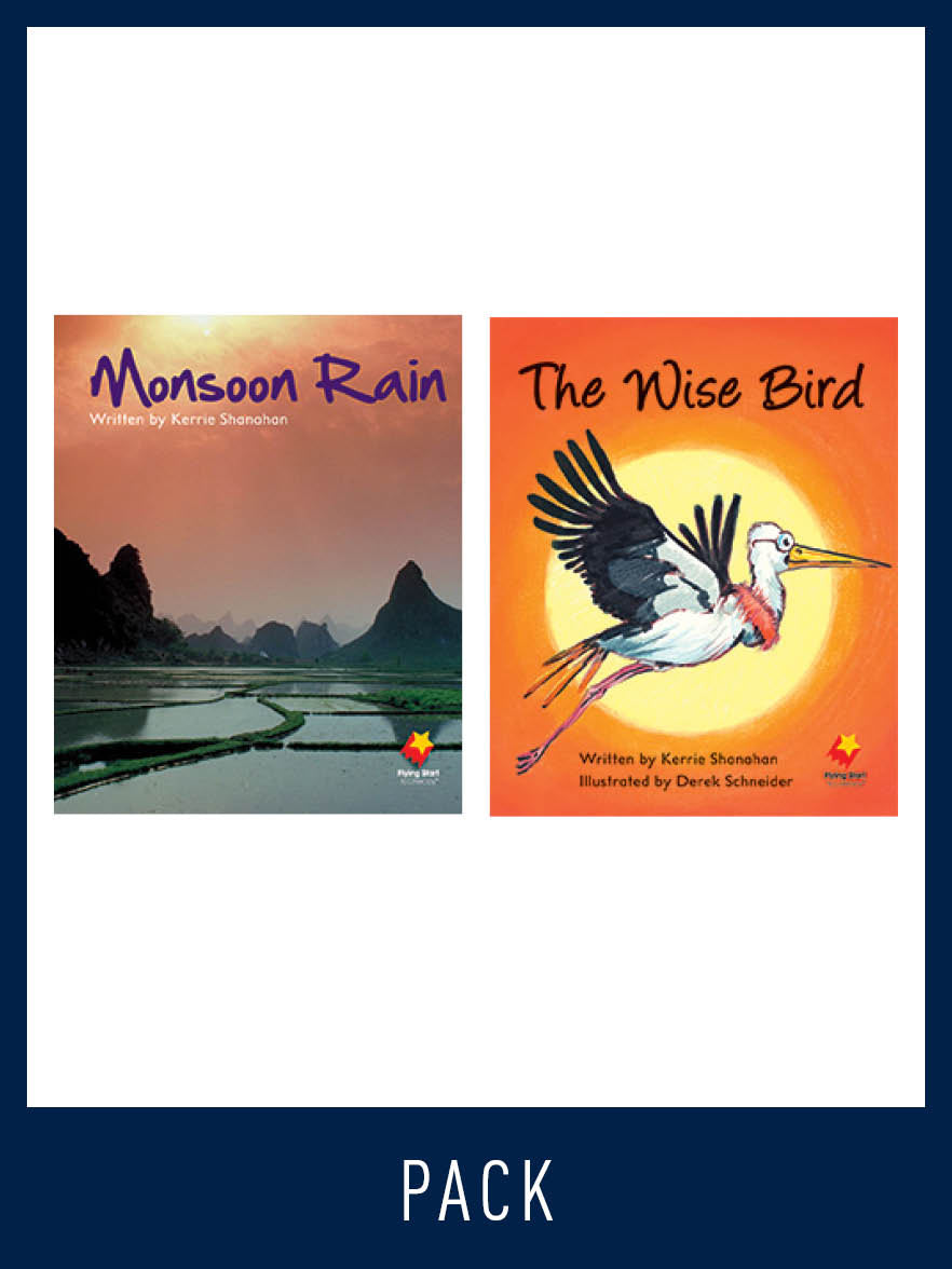 Flying Start Guided Reading Pack Level 14, Pack 4