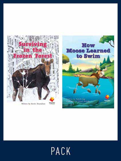 Flying Start Guided Reading Level 17, Pack 2