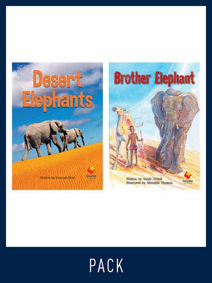 Flying Start Guided Reading Level 18, Pack 2