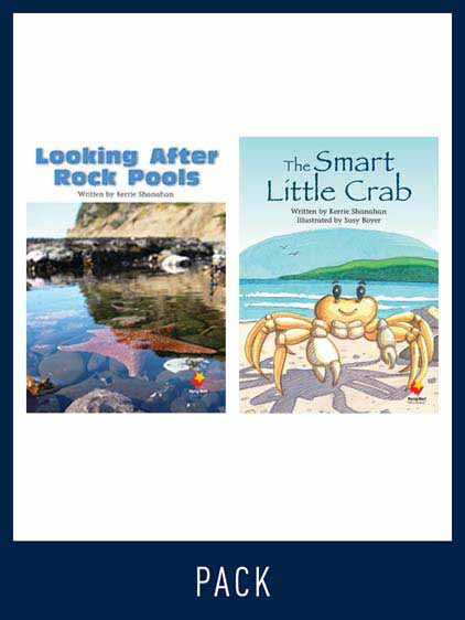 Flying Start Guided Reading Level 20, Pack 3