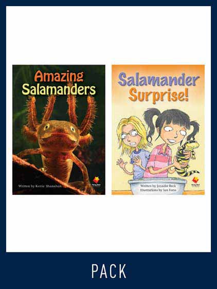 Flying Start Guided Reading Level 25, Pack 1