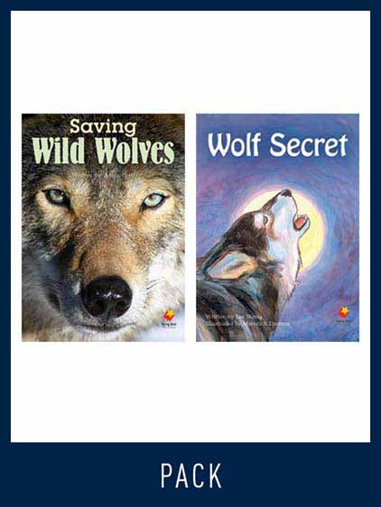 Flying Start Guided Reading Level 26, Pack 2