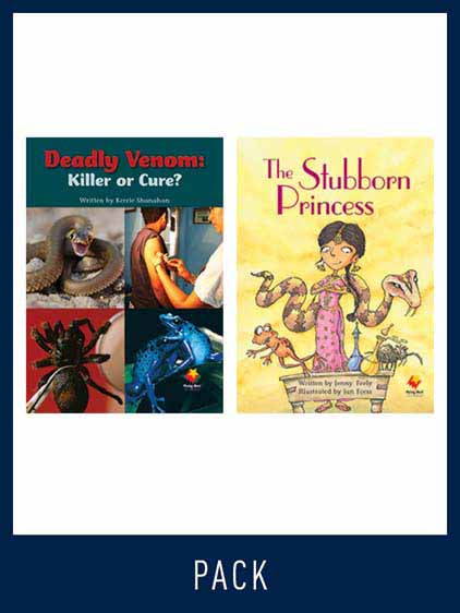 Flying Start Guided Reading Level 27, Pack 2