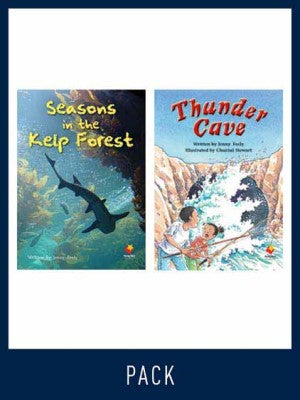 Flying Start Guided Reading Level 28, Pack 2