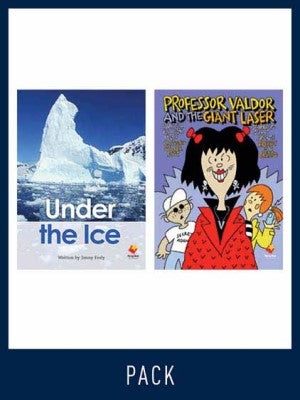 Flying Start Guided Reading Level 30, Pack 2