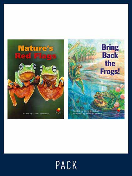 Flying Start Guided Reading Level 27, Pack 3