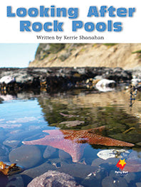 Looking After Rock Pools