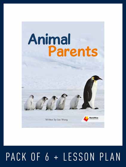 WorldWise Guided Reading Pack Level N, Pack 2