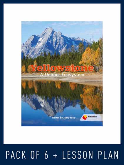 WorldWise Guided Reading Pack Level V, Pack 1