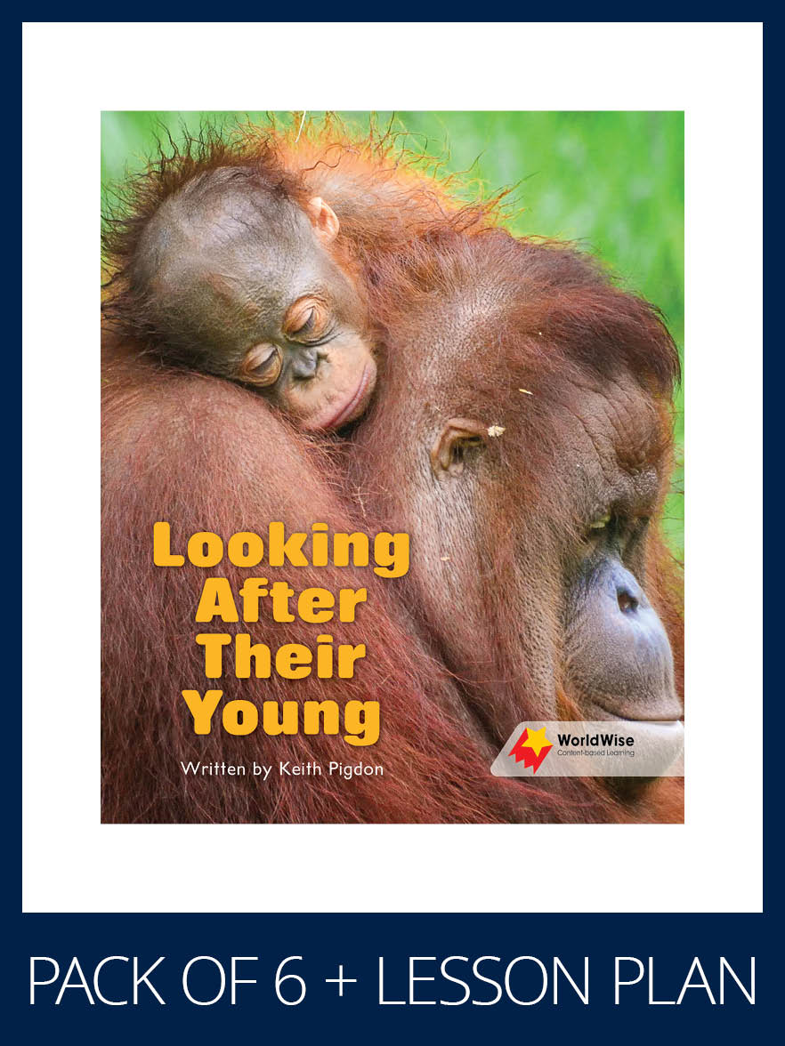 WorldWise Guided Reading Pack Level 17-18, Pack 1