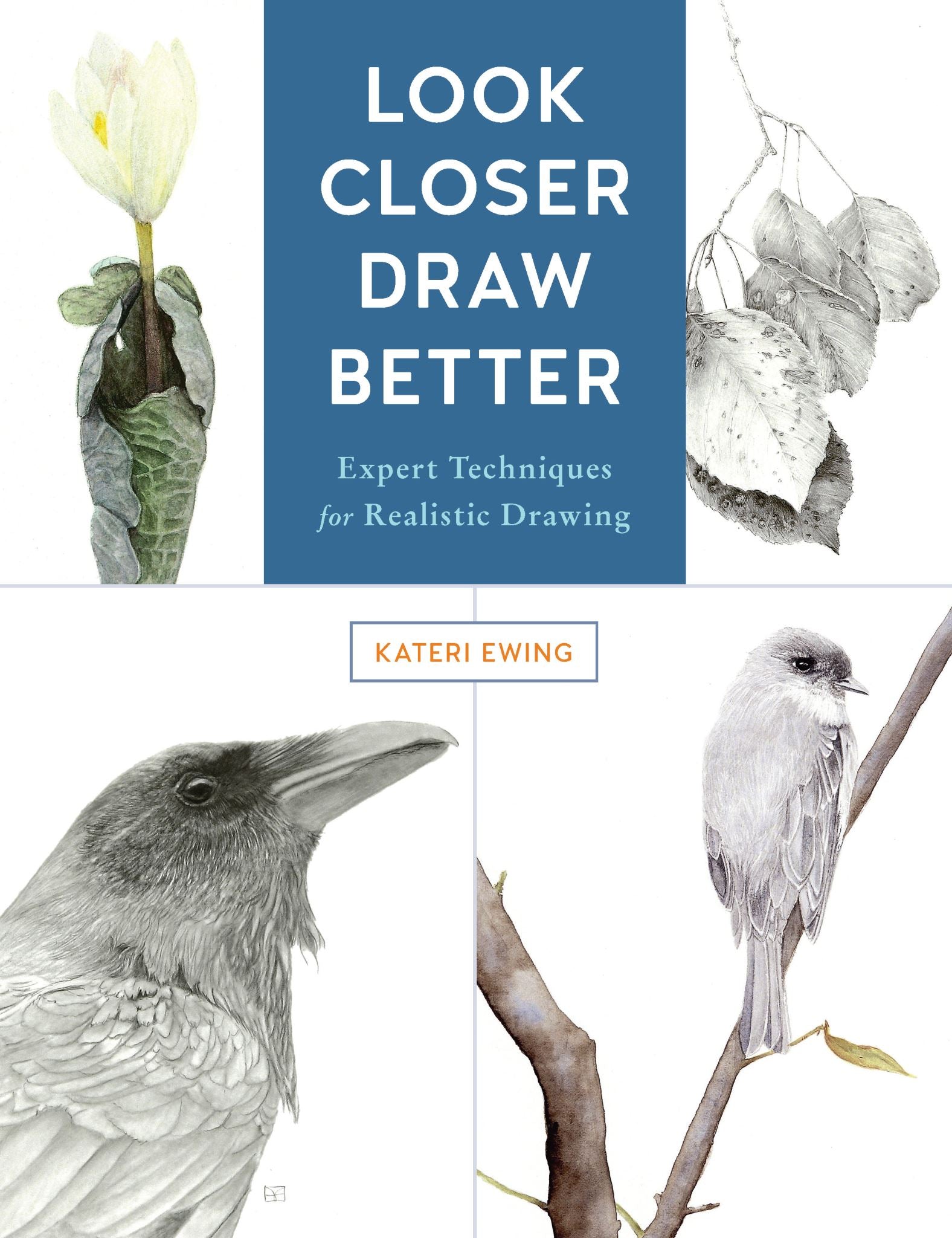 Look Closer, Draw Better