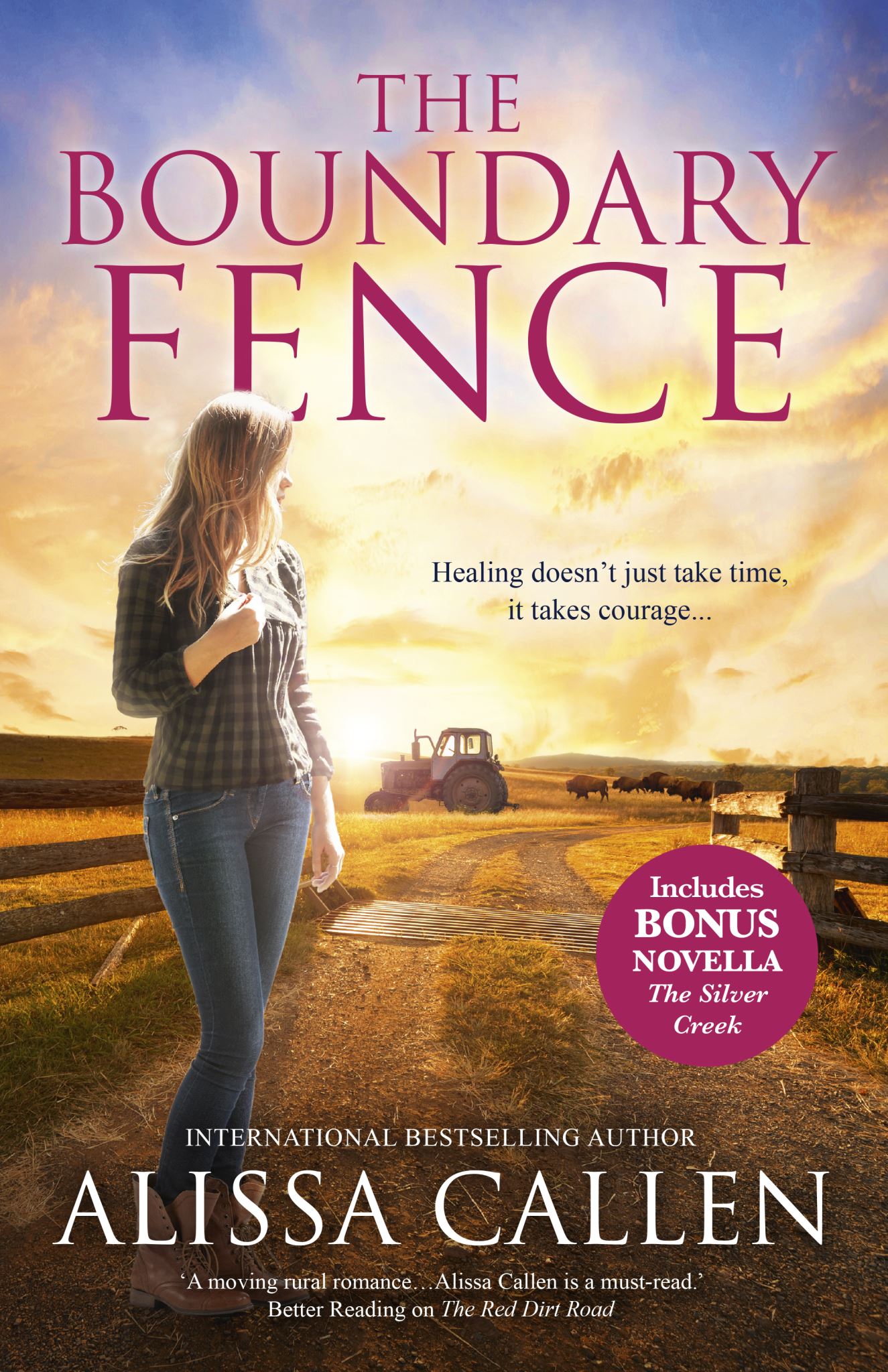 The Boundary Fence/The Boundary Fence/The Silver Creek