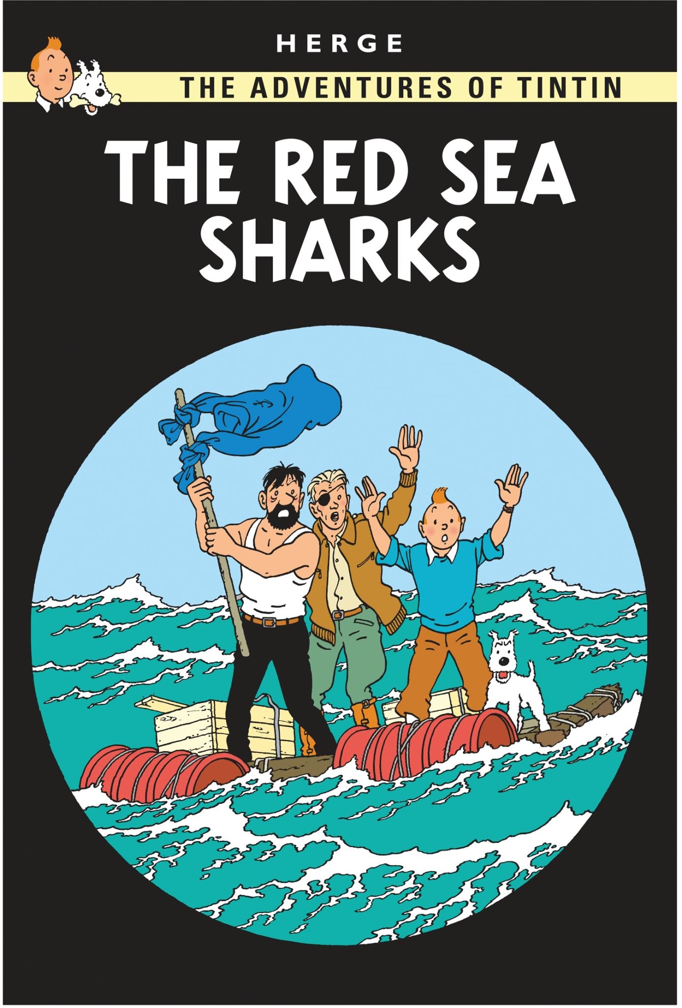 Red Sea Sharks