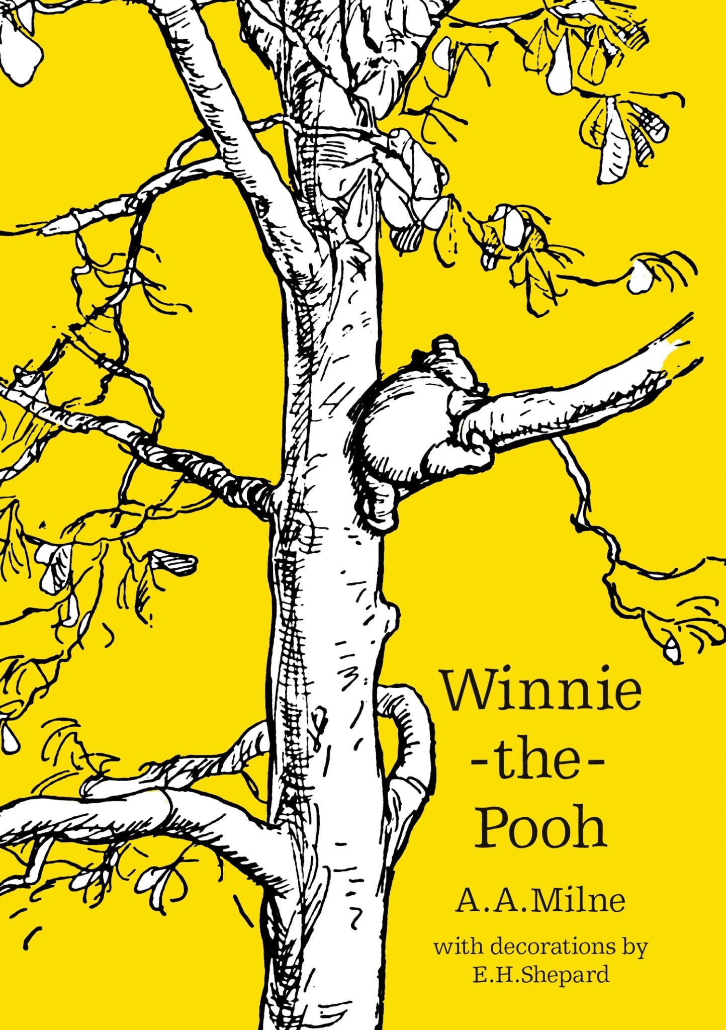 Winnie-the-Pooh Rejacket