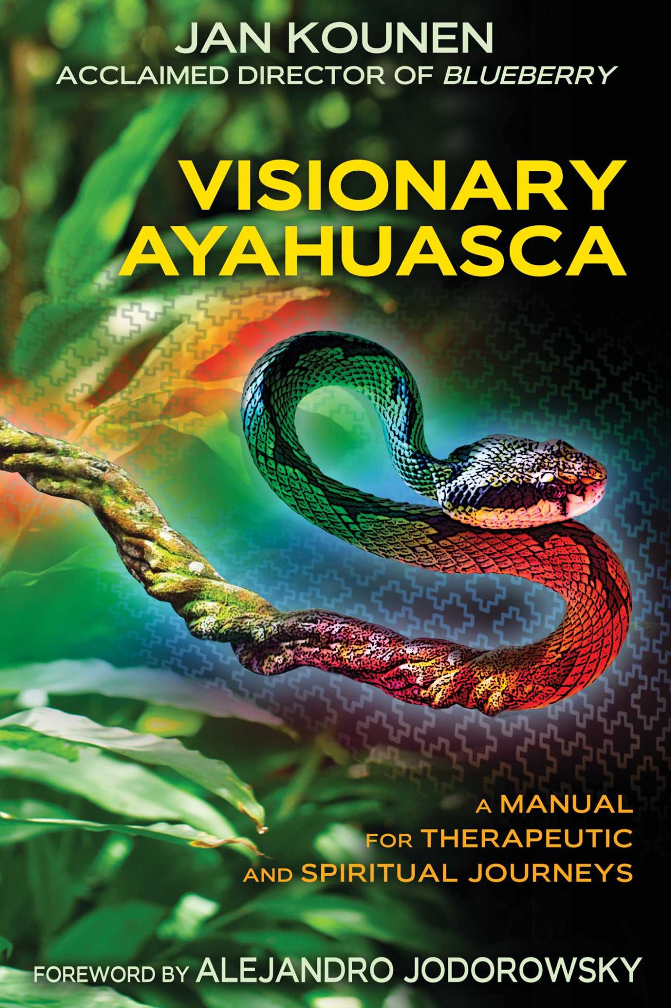 Visionary Ayahuasca: A Manual for Therapeutic and Spiritual Journeys