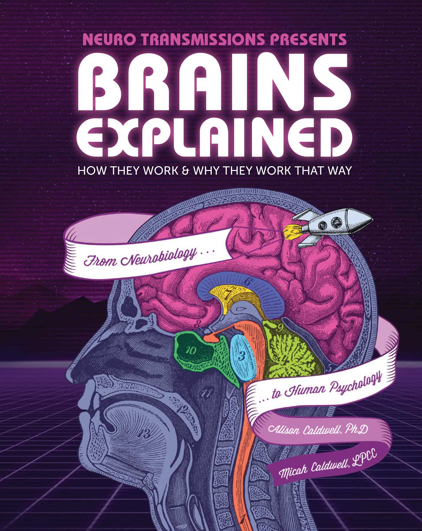 Brains Explained: How They Work & Why They Work That Way | STEM Learningabout th