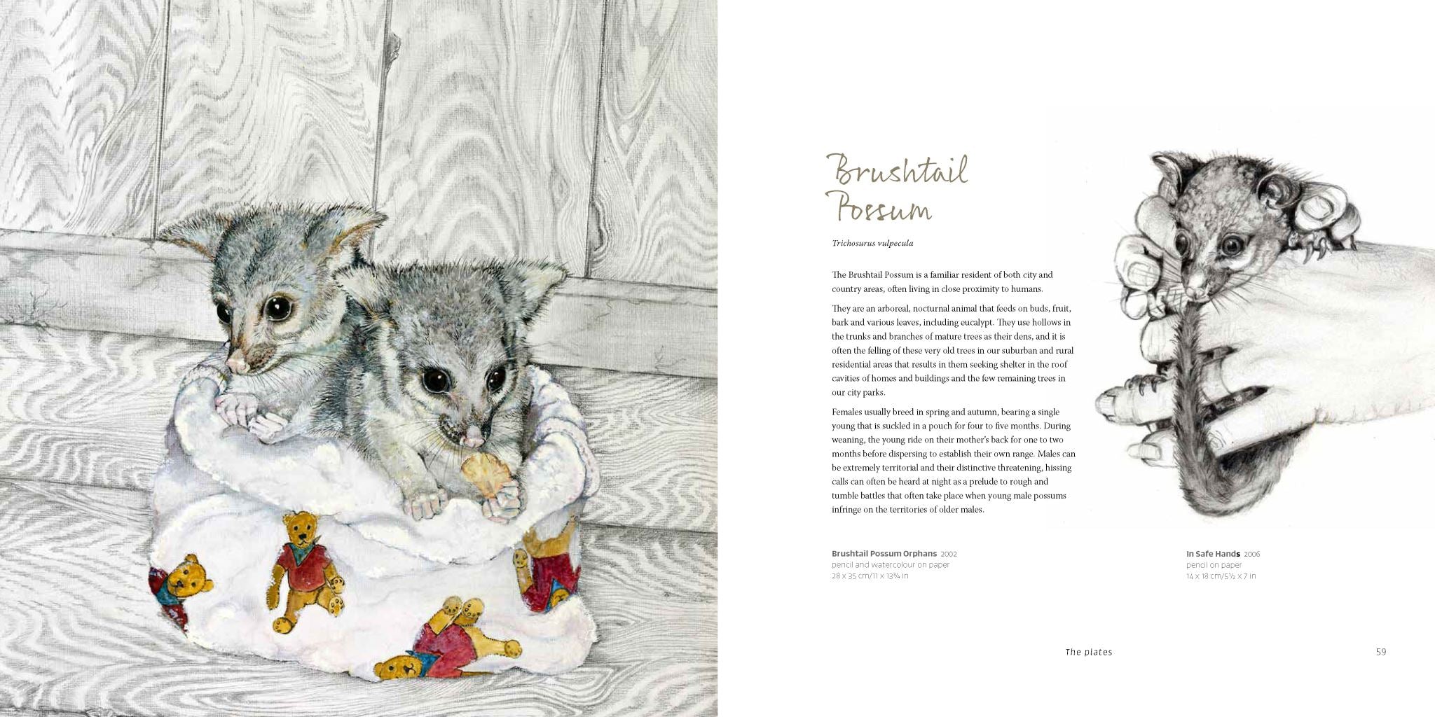 Celebrating Australia's Magnificent Wildlife