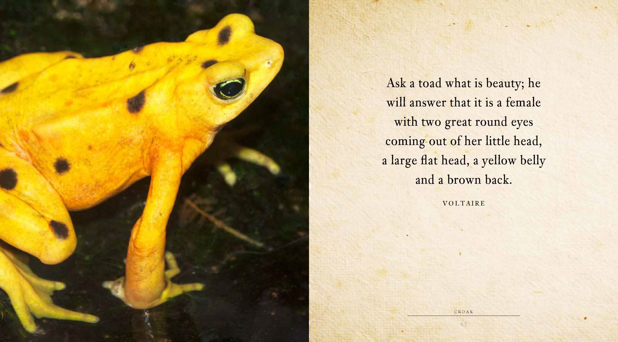 Croak