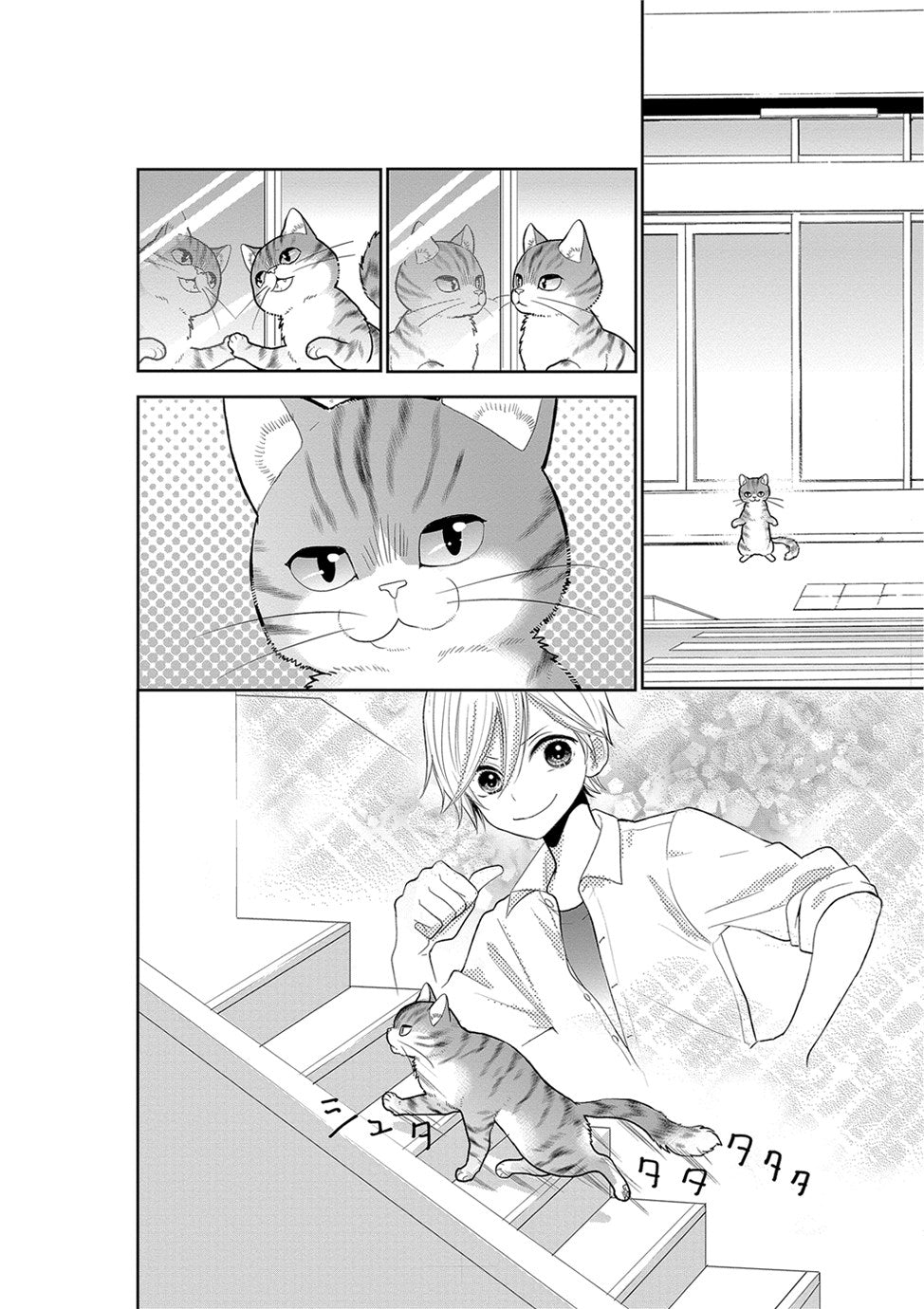 My New Life as a Cat Vol. 1