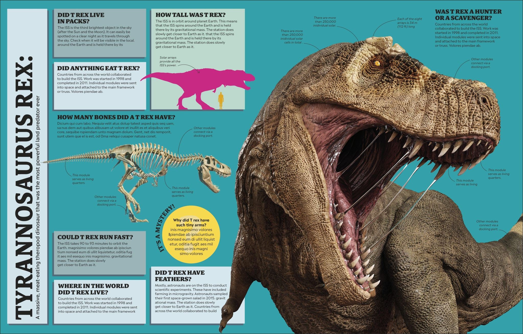 1,000 Curious Questions