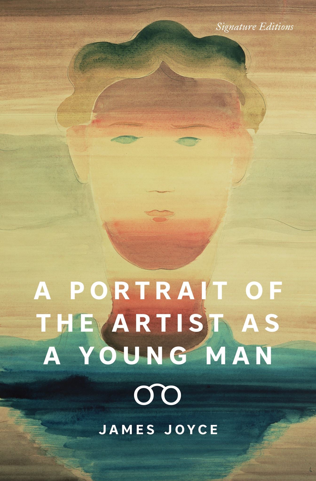 A Portrait of the Artist as a Young Man (9781454954613)