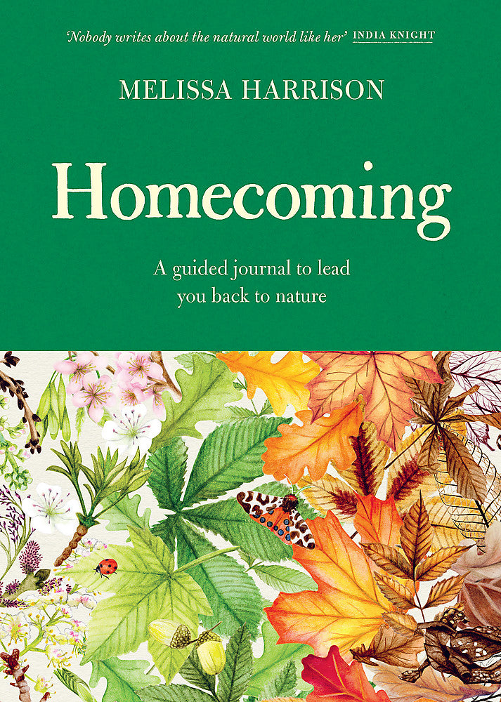 Homecoming (9781399618779)