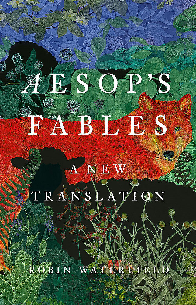 Aesop's Fables (9781541604841)