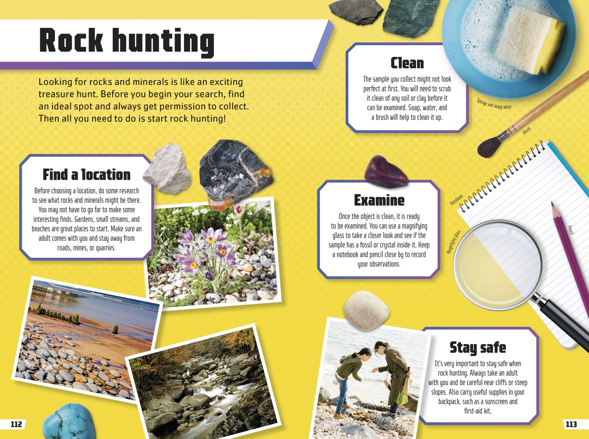 Rocks and Minerals Ultimate Handbook