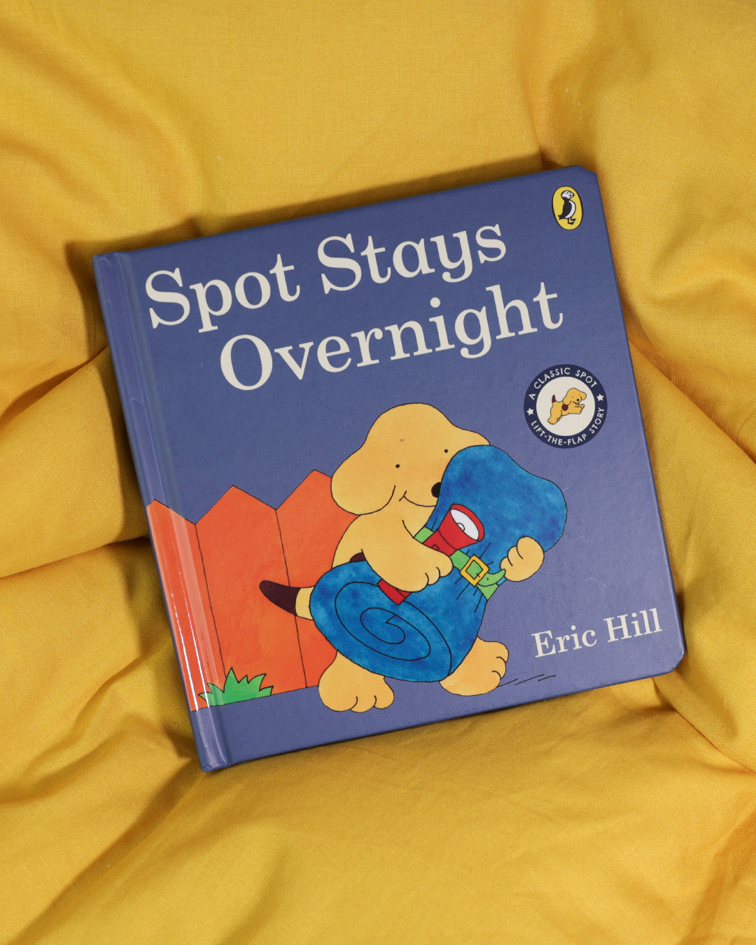 Spot Stays Overnight