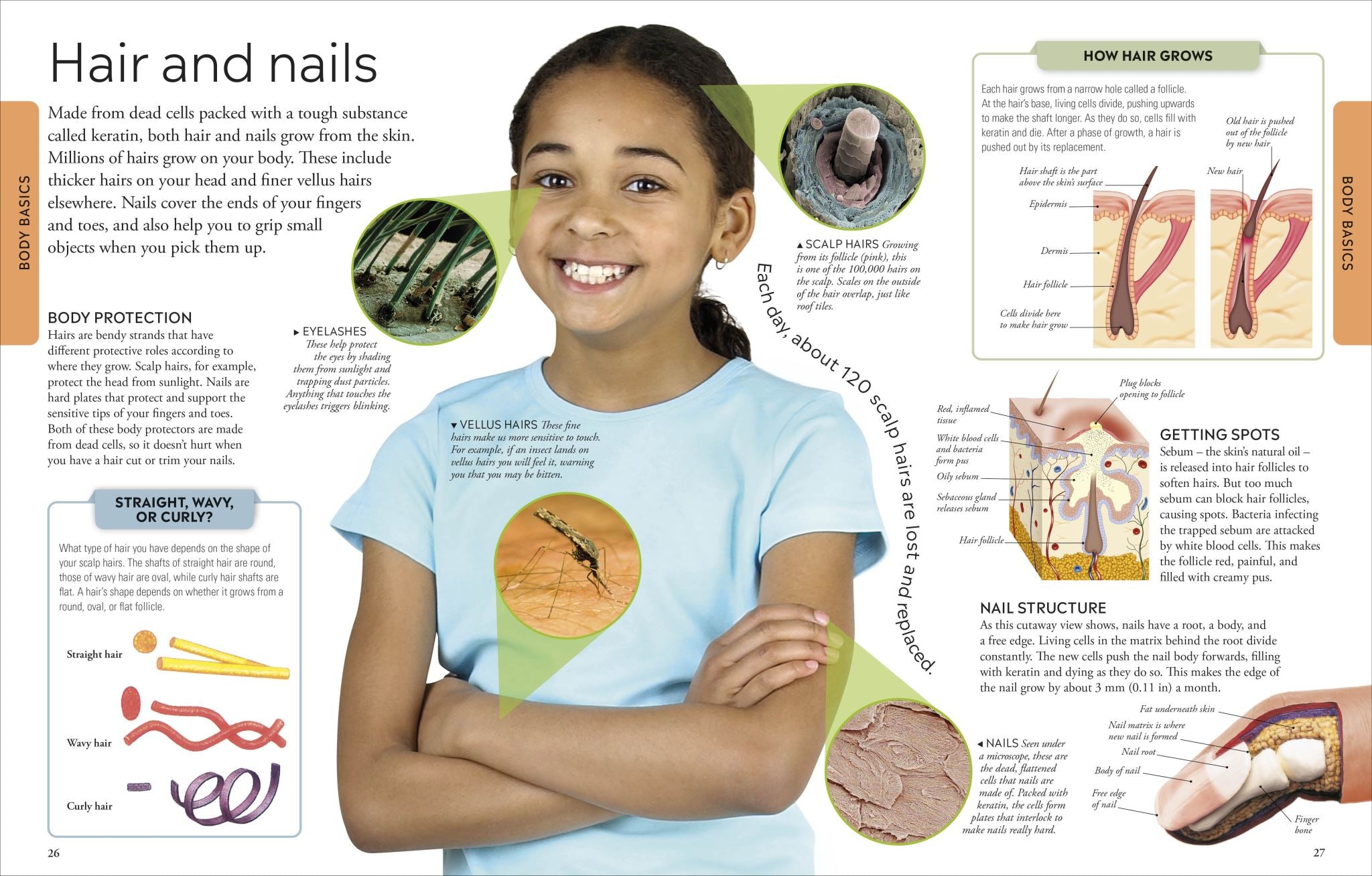 Human Body a Children's Encyclopedia